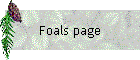 Foals page
