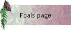 Foals page