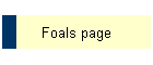 Foals page