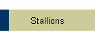 Stallions